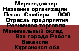 Мерчендайзер › Название организации ­ "Пегас" Самбери-3, ООО › Отрасль предприятия ­ Розничная торговля › Минимальный оклад ­ 23 500 - Все города Работа » Вакансии   . Курганская обл.,Притобольный р-н